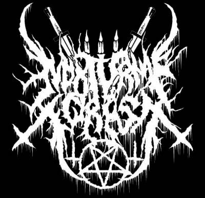 logo Nokturnal Forest